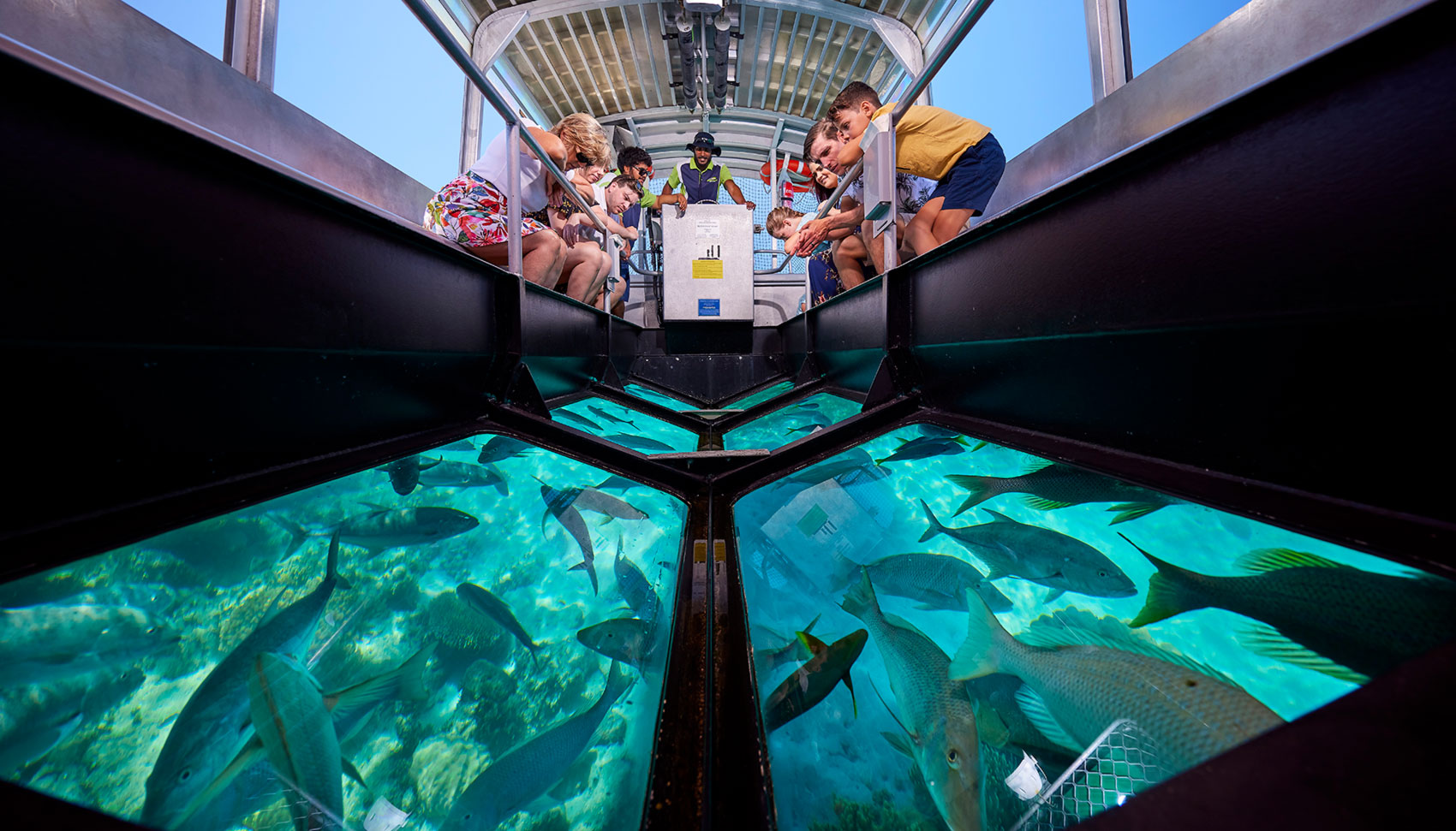 Take a glass-bottom boat tour